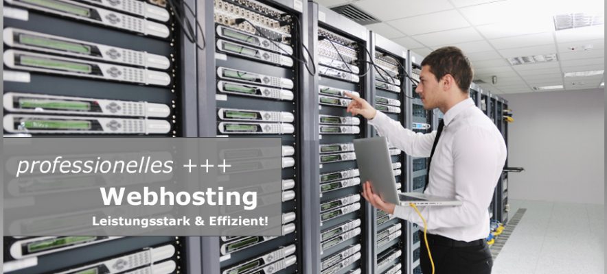 professionelles-webhosting